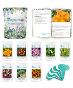 Whats-in-Box-Small-Square-border Monthly Plan (Outdoor Garden) - Image 2