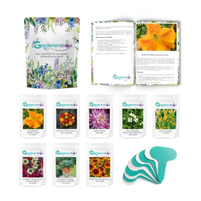 Whats-in-Box-Small-Square-border Monthly Plan (Outdoor Garden) - Image 2