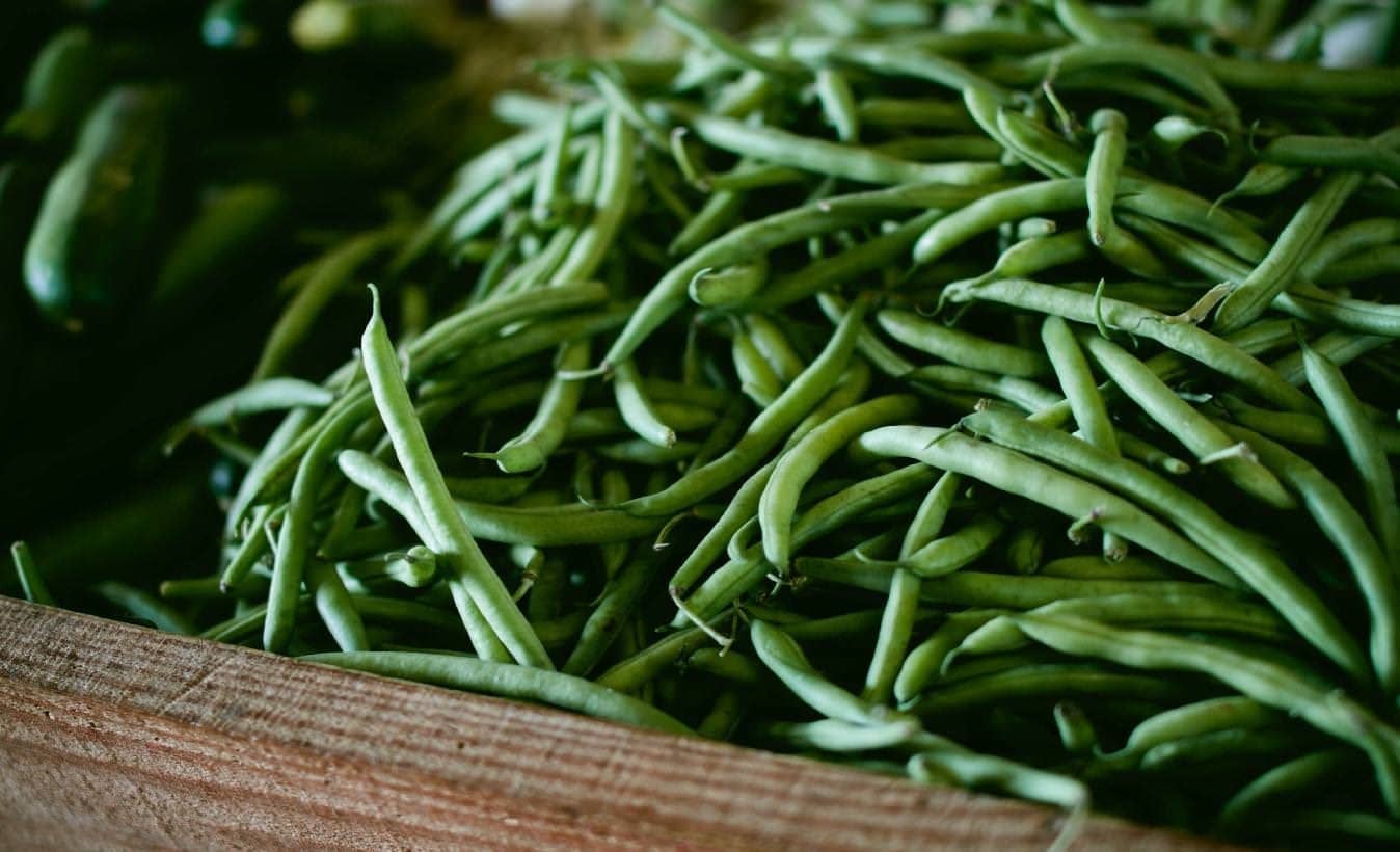 dwarf beans - Vegetable & fruit seeds to sow in August - Planting Guide