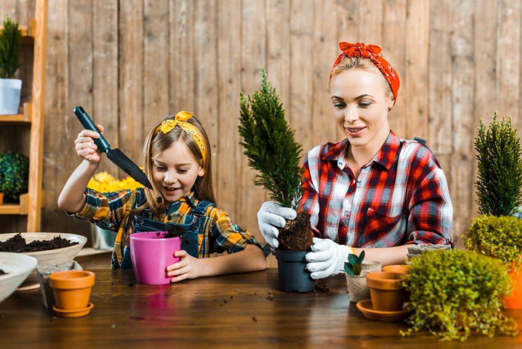 gardening at home 1024x684 - About us