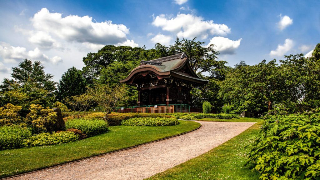 Brilliant gardening gifts for men - 2024 Guide kew garden 1 1024x576 - Brilliant gardening gifts for men - 2024 Guide
