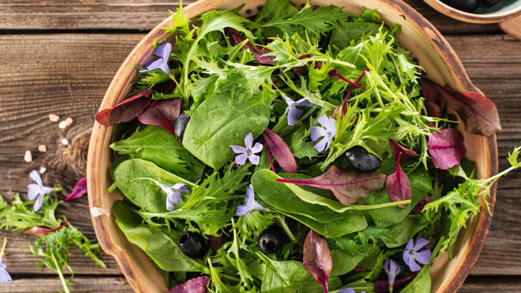 Mizuna 1 1024x576 - Vegetable &amp; fruit seeds to sow in September