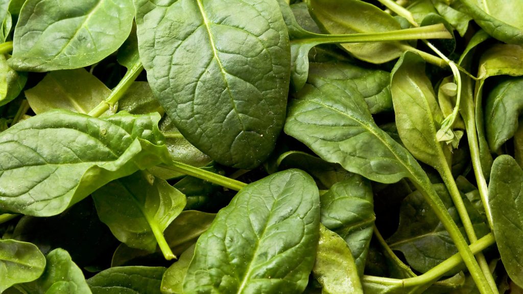 Spinach 1 1024x576 - Vegetable &amp; fruit seeds to sow in September
