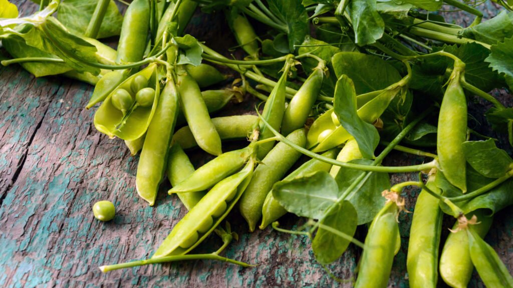 Peas 1 1024x576 - Vegetable & fruit seeds to sow in October - Growing guide