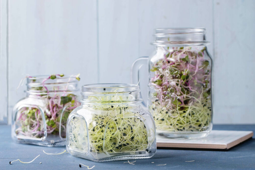 microgreens sprouts 1024x682 - Vegetable &amp; Fruit Seeds To Sow In November - Planting Guide
