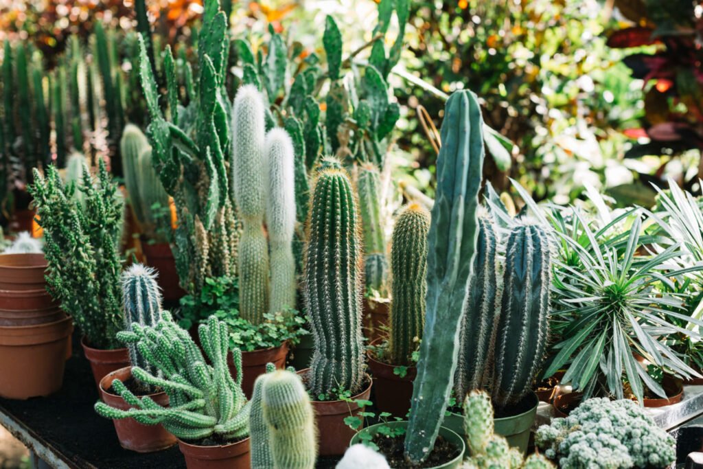 40 Small Garden Design Ideas: Genius Tips for Tiny Spaces Choose Plants with Varied Textures and Forms 1024x683 - 40 Small Garden Design Ideas: Genius Tips for Tiny Spaces