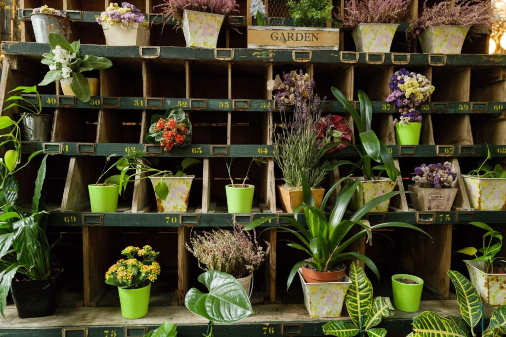 40 Small Garden Design Ideas: Genius Tips for Tiny Spaces Get creative with shelves and hooks 1024x683 - 40 Small Garden Design Ideas: Genius Tips for Tiny Spaces