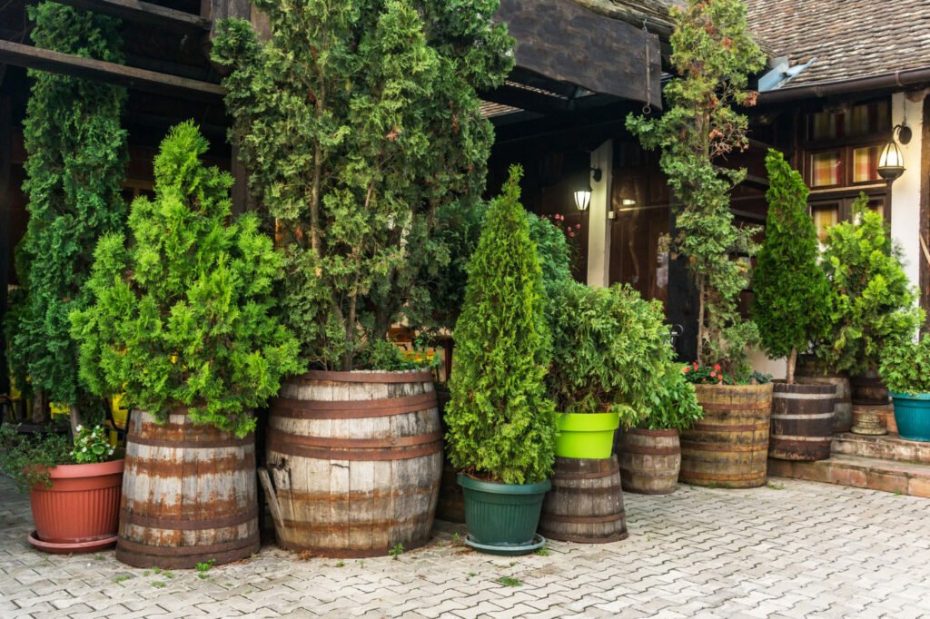 40 Small Garden Design Ideas: Genius Tips for Tiny Spaces Make the most of pots 1024x682 - 40 Small Garden Design Ideas: Genius Tips for Tiny Spaces