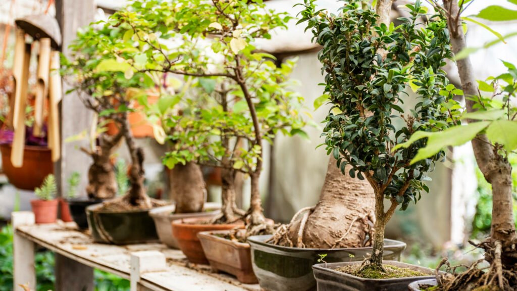40 Small Garden Design Ideas: Genius Tips for Tiny Spaces Save on shed space 1024x576 - 40 Small Garden Design Ideas: Genius Tips for Tiny Spaces