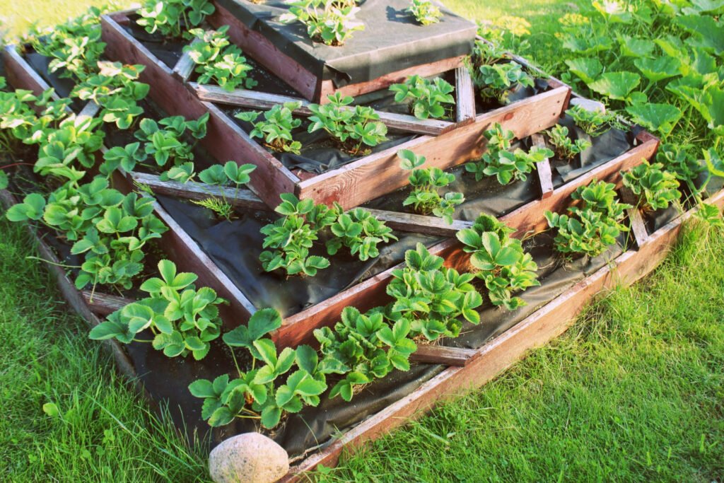 40 Small Garden Design Ideas: Genius Tips for Tiny Spaces Sow a square metre veg bed 1024x683 - 40 Small Garden Design Ideas: Genius Tips for Tiny Spaces