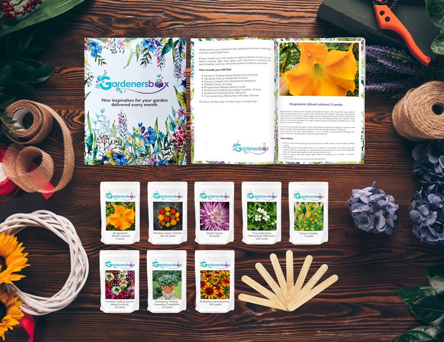 Whats in the box festive table - Flower &amp; Plant Seeds To Sow In November &ndash; Planting Guide