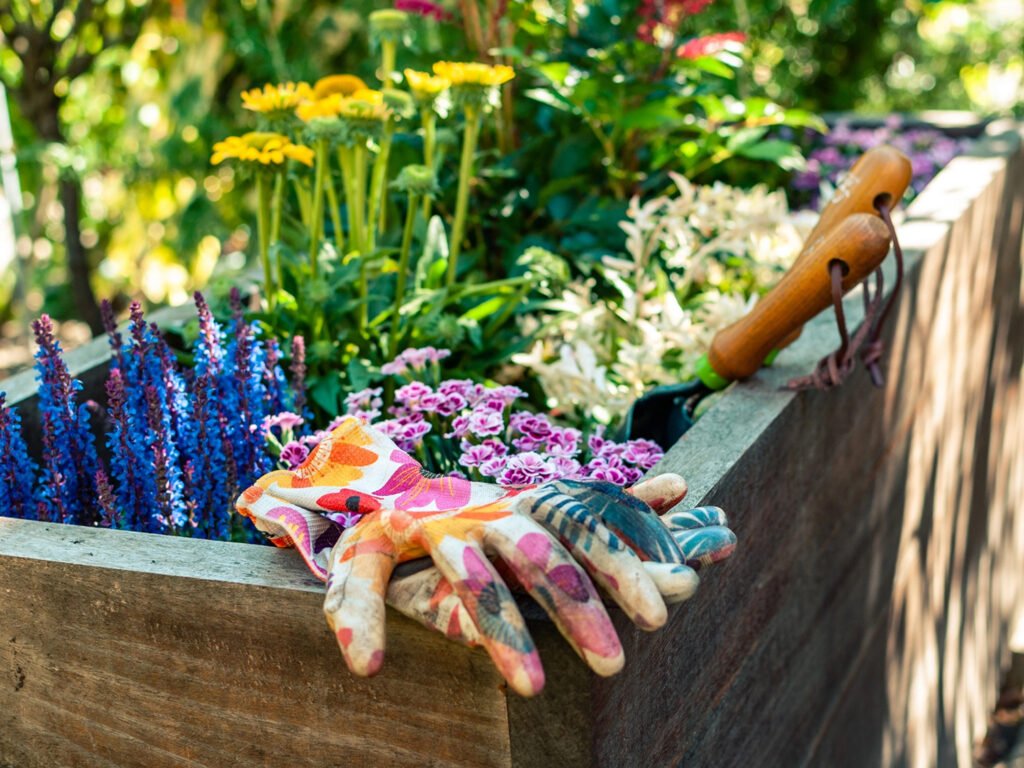 40 Small Garden Design Ideas: Genius Tips for Tiny Spaces container garden 1024x768 - 40 Small Garden Design Ideas: Genius Tips for Tiny Spaces