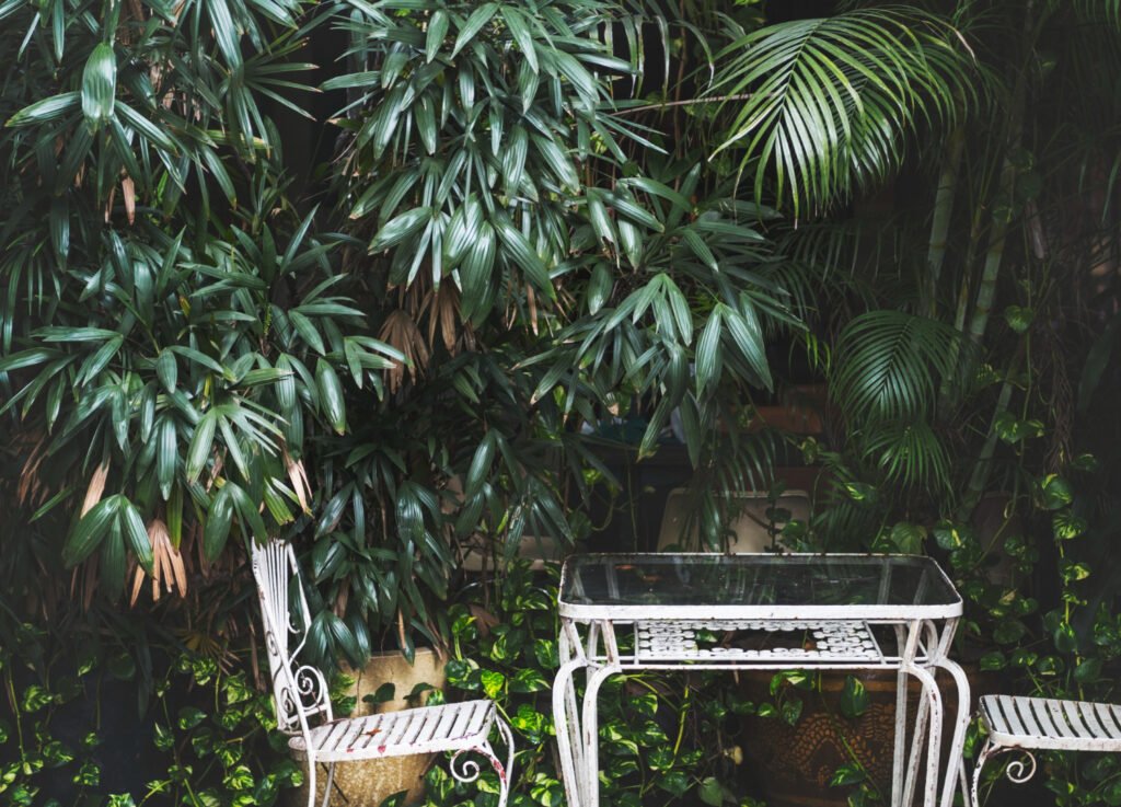 40 Small Garden Design Ideas: Genius Tips for Tiny Spaces use tall plants in garden 1024x737 - 40 Small Garden Design Ideas: Genius Tips for Tiny Spaces