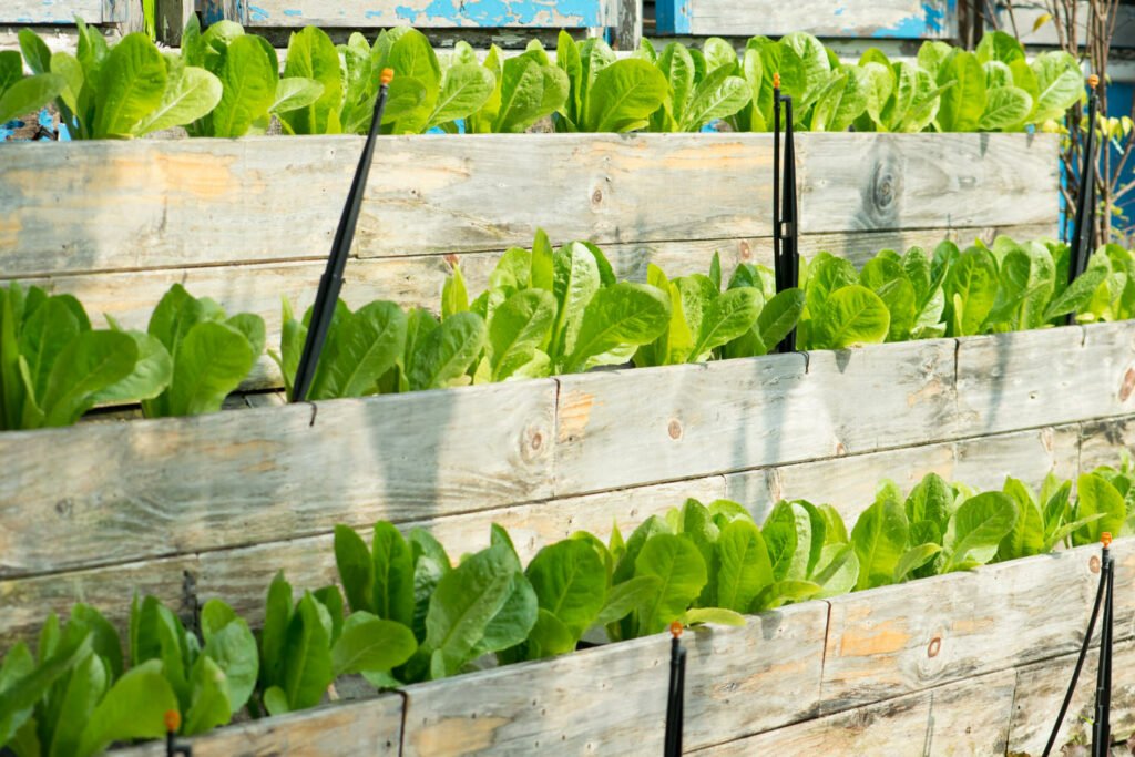 40 Small Garden Design Ideas: Genius Tips for Tiny Spaces vertical veg garden 1 1024x683 - 40 Small Garden Design Ideas: Genius Tips for Tiny Spaces