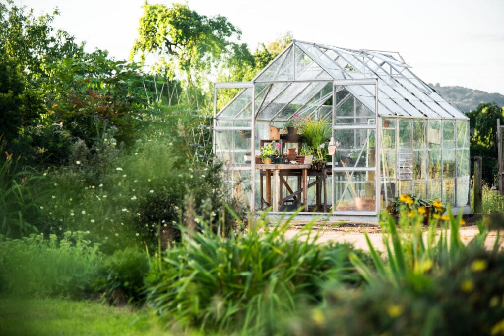 30+ Creative Greenhouse Ideas For Gardening All Year Round Glass and metal greenhouse 1024x683 - 30+ Creative Greenhouse Ideas For Gardening All Year Round