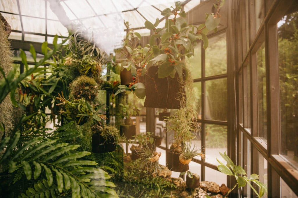 30+ Creative Greenhouse Ideas For Gardening All Year Round Hang It Up 1024x683 - 30+ Creative Greenhouse Ideas For Gardening All Year Round
