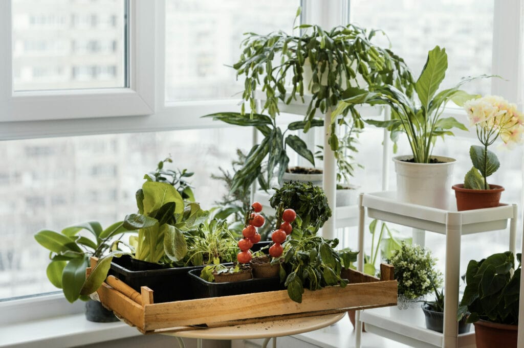 30+ Creative Greenhouse Ideas For Gardening All Year Round Kitchen Greenhouse 1024x681 - 30+ Creative Greenhouse Ideas For Gardening All Year Round