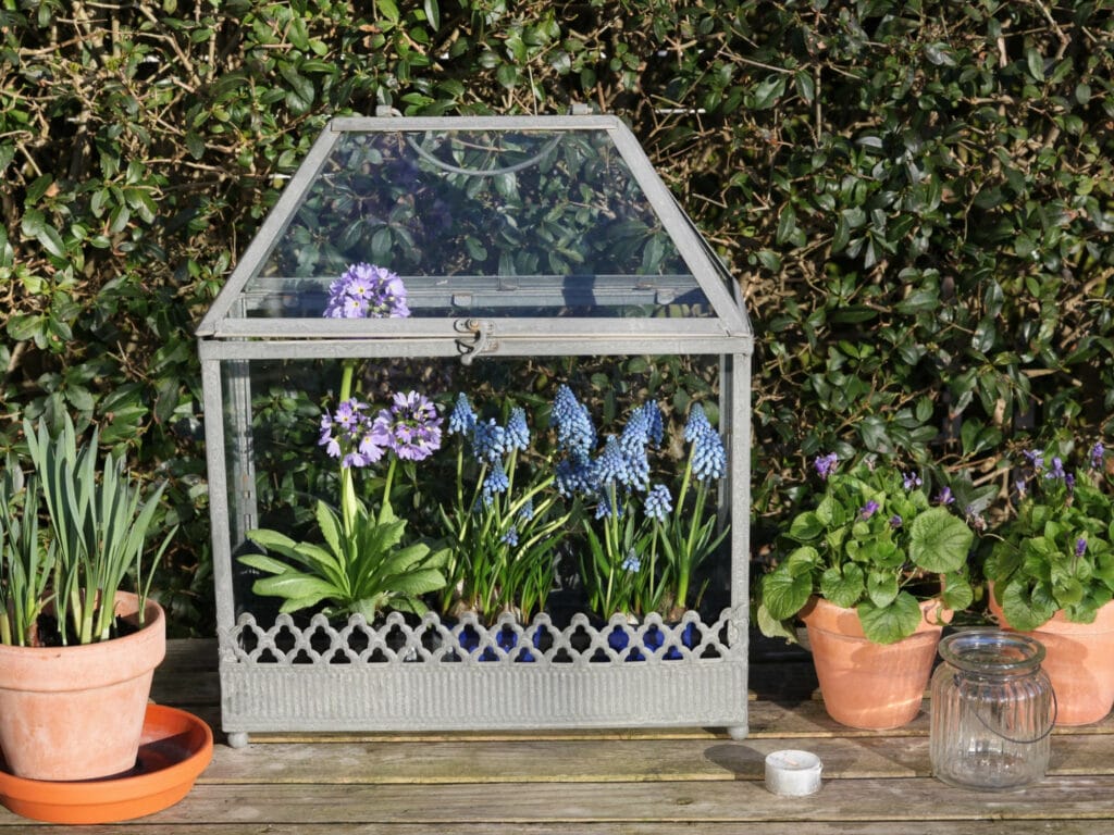 30+ Creative Greenhouse Ideas For Gardening All Year Round Mini Greenhouse 1024x768 - 30+ Creative Greenhouse Ideas For Gardening All Year Round