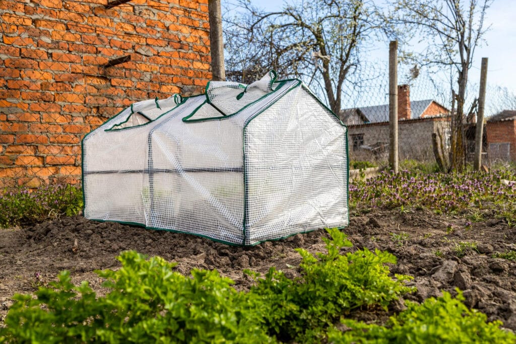 30+ Creative Greenhouse Ideas For Gardening All Year Round Portable greenhouse 1024x683 - 30+ Creative Greenhouse Ideas For Gardening All Year Round