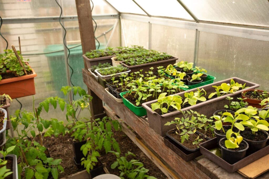 30+ Creative Greenhouse Ideas For Gardening All Year Round Potted Palace 1024x683 - 30+ Creative Greenhouse Ideas For Gardening All Year Round