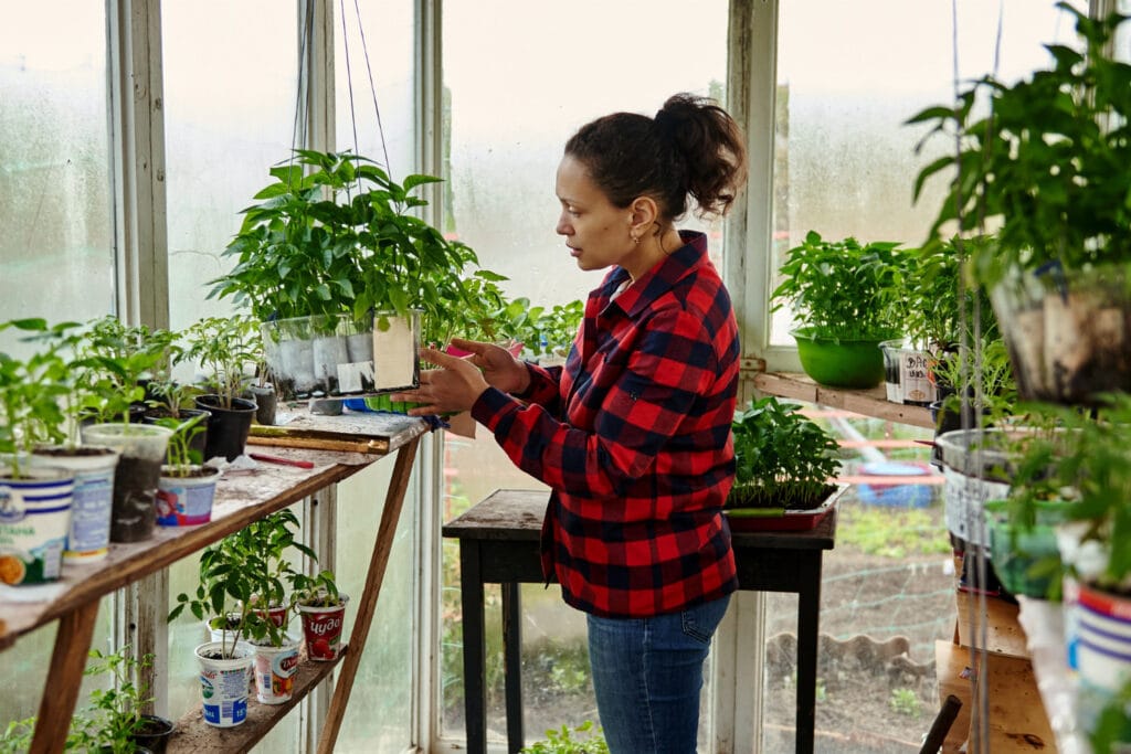 30+ Creative Greenhouse Ideas For Gardening All Year Round Set Up Your Seedlings 1024x683 - 30+ Creative Greenhouse Ideas For Gardening All Year Round