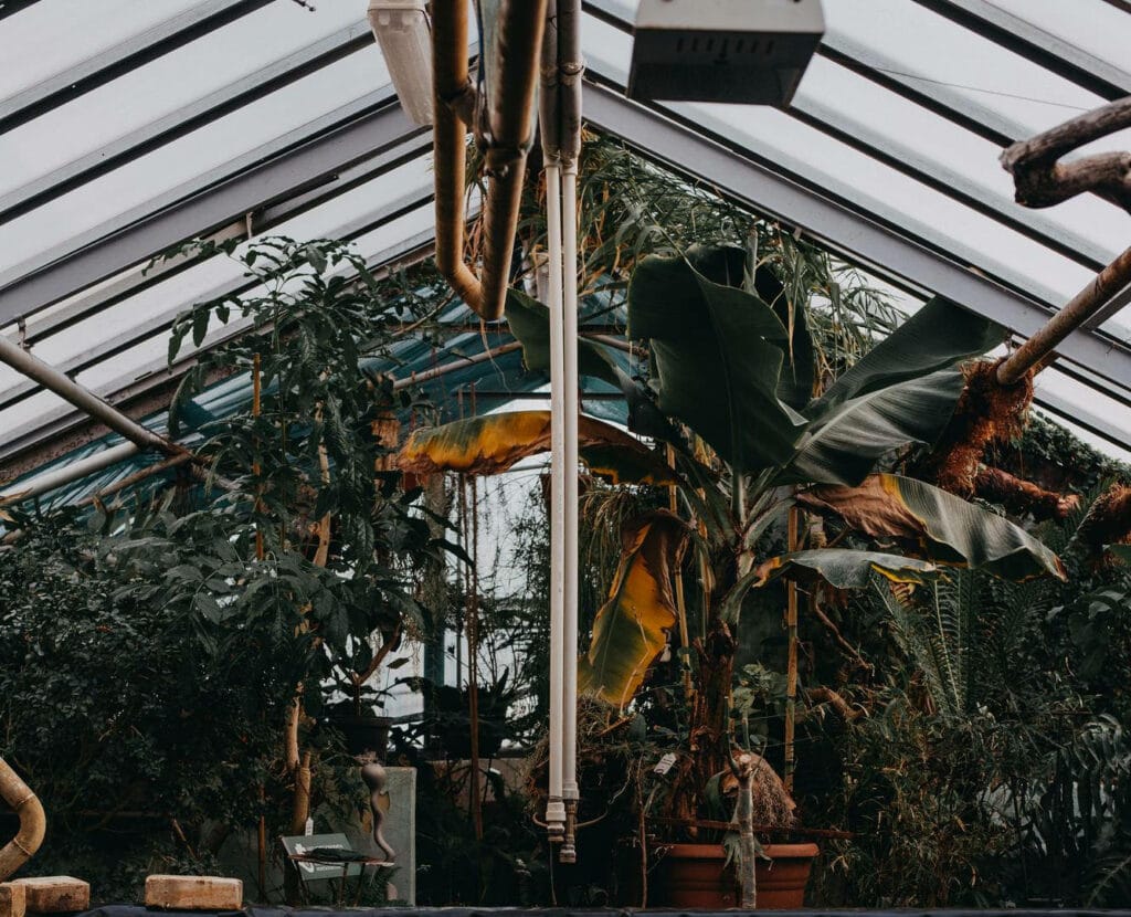 30+ Creative Greenhouse Ideas For Gardening All Year Round bold greenhouse 1 1024x830 - 30+ Creative Greenhouse Ideas For Gardening All Year Round