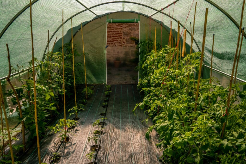 30+ Creative Greenhouse Ideas For Gardening All Year Round keep it warm 1024x683 - 30+ Creative Greenhouse Ideas For Gardening All Year Round