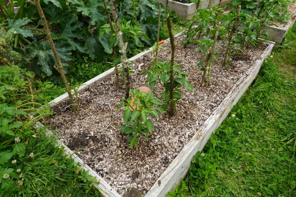 30+ Creative Greenhouse Ideas For Gardening All Year Round raised bed greenhouse 1024x683 - 30+ Creative Greenhouse Ideas For Gardening All Year Round