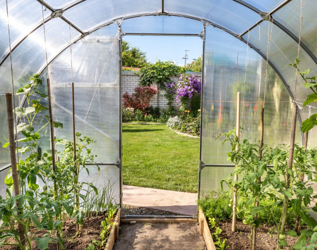 30+ Creative Greenhouse Ideas For Gardening All Year Round tunnel style greenhouse 1024x808 - 30+ Creative Greenhouse Ideas For Gardening All Year Round