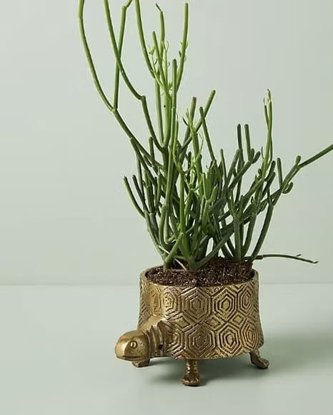 20+ Unique Garden-Inspired Gifts for Plant Lovers Anthropologie Turtle Planter - 20+ Unique Garden-Inspired Gifts for Plant Lovers