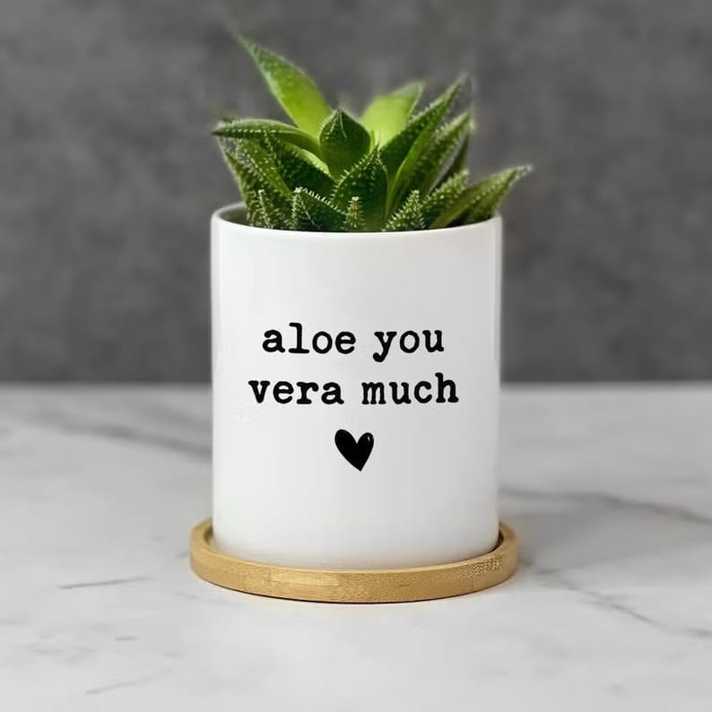 20+ Unique Garden-Inspired Gifts for Plant Lovers Pineandpineapple Aloe You Vera Much Planter - 20+ Unique Garden-Inspired Gifts for Plant Lovers