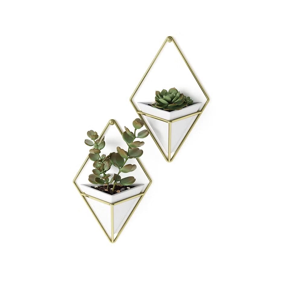 20+ Unique Garden-Inspired Gifts for Plant Lovers Umbra Trigg Wall Planters - 20+ Unique Garden-Inspired Gifts for Plant Lovers