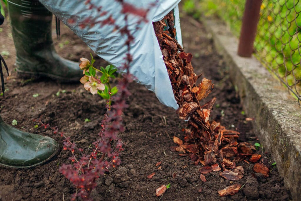 How To Prepare Your Garden For British Winter mulching 1024x683 - How To Prepare Your Garden For British Winter