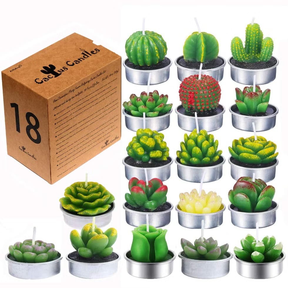 20+ Unique Garden-Inspired Gifts for Plant Lovers succulent cactus candles - 20+ Unique Garden-Inspired Gifts for Plant Lovers