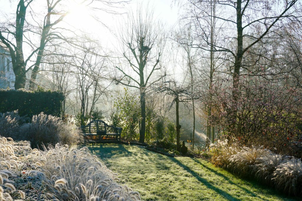 How To Prepare Your Garden For British Winter winter morning garden 1024x683 - How To Prepare Your Garden For British Winter