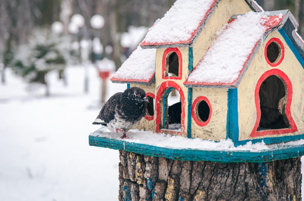 How To Prepare Your Garden For British Winter winter wildlife 1024x677 - How To Prepare Your Garden For British Winter